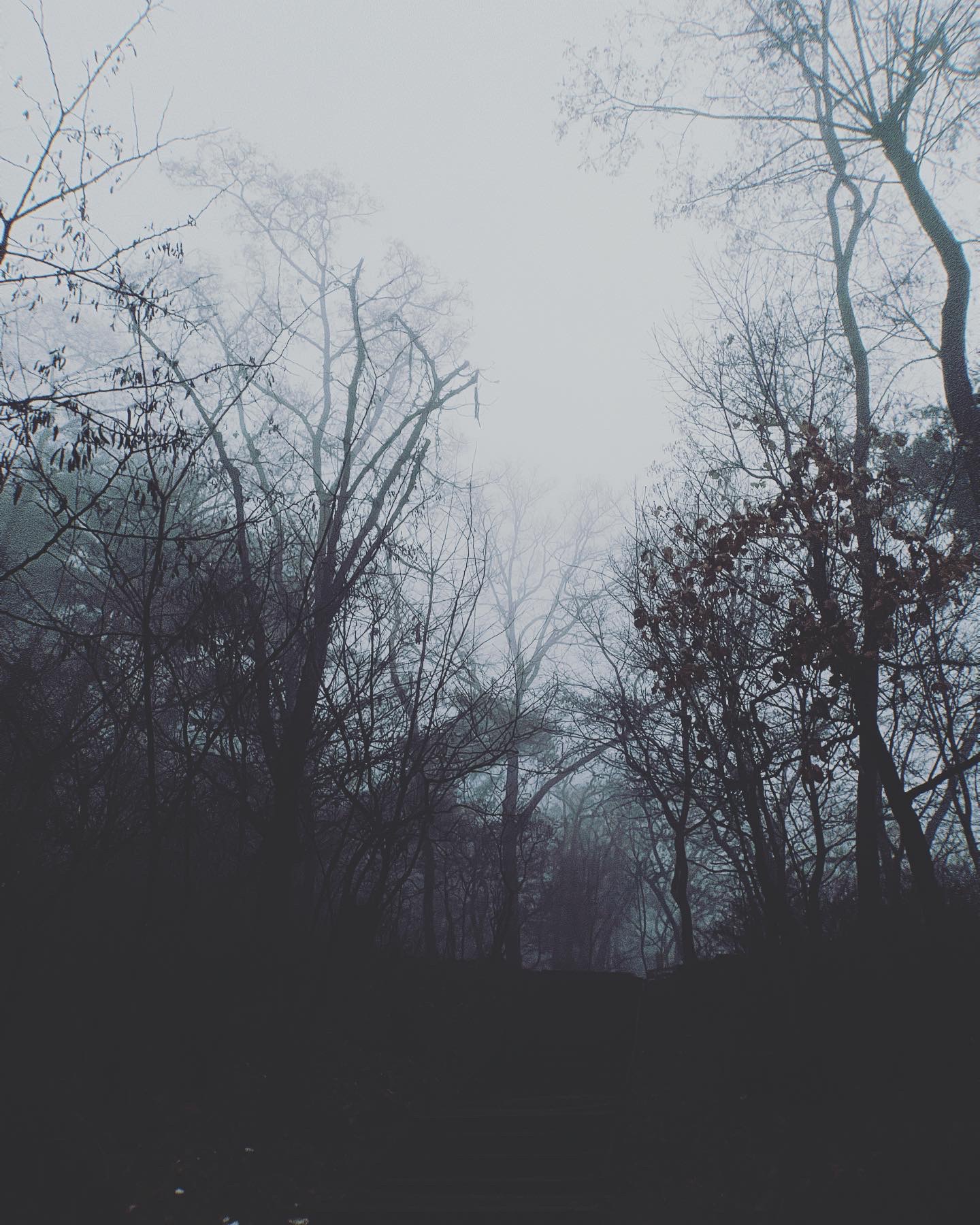 A52B5BE4-B206-4904-A7D1-74215511F365.jpeg