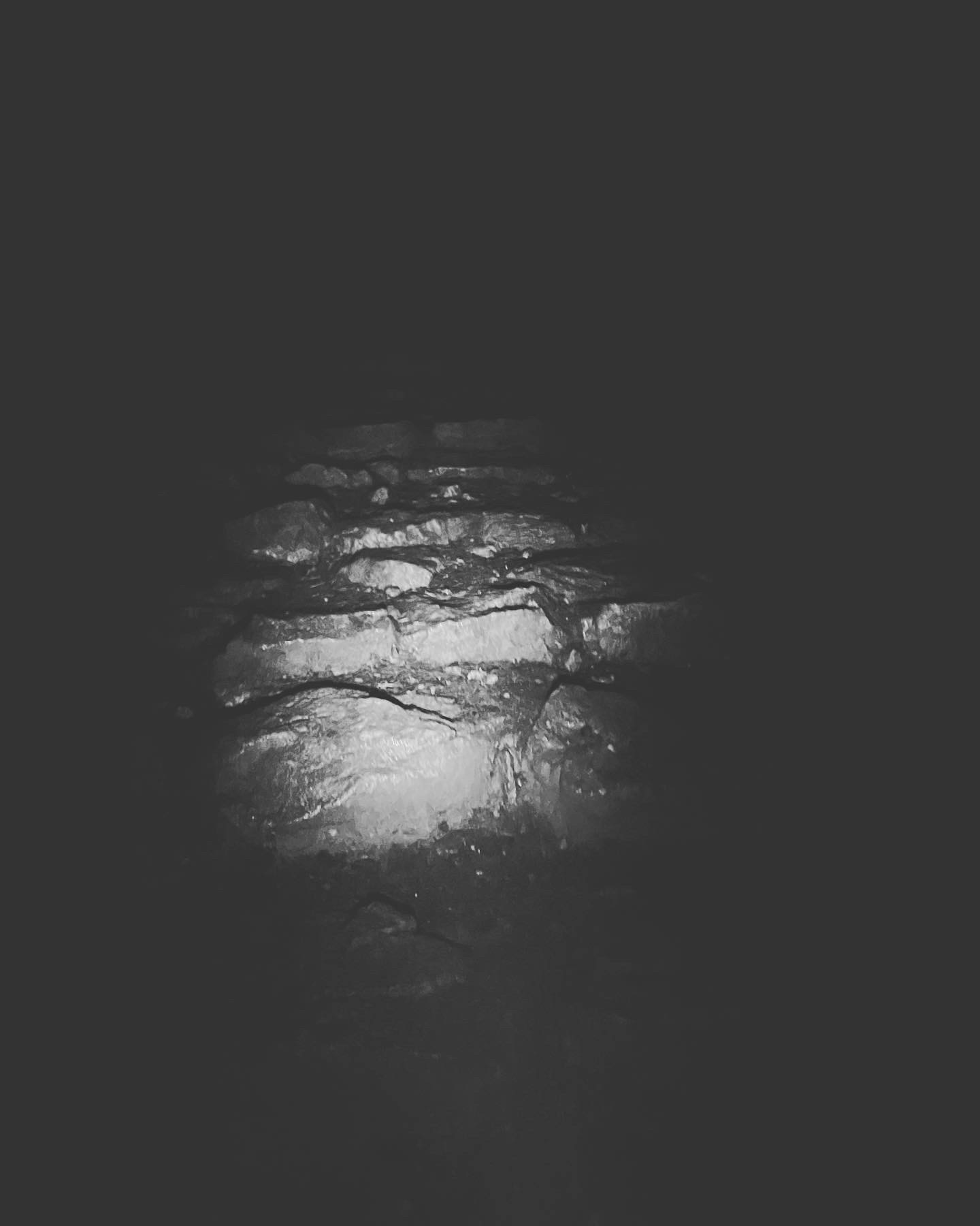 9079C82D-59AC-4620-82FB-A56882642111.jpeg